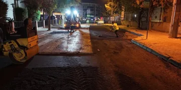 Kuraklık ve orman yangınları Düzmeşe Benti’nin adeta kuruttu
