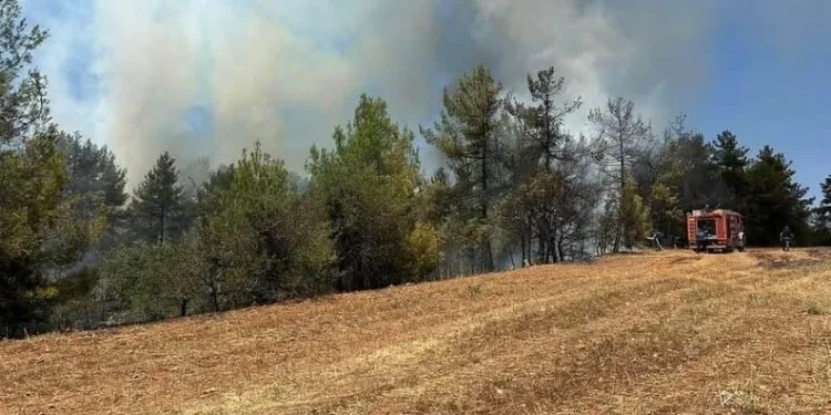 Kahramanmaraş yangınında ekiplerin zorlu mücadelesi