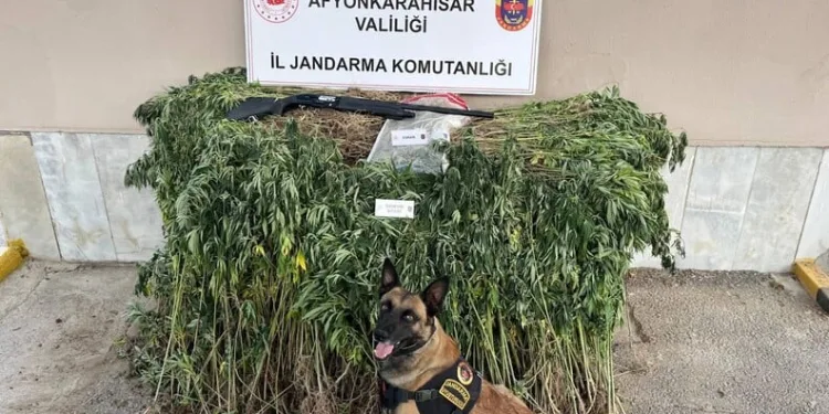 Isparta’da aranan 3 şahıs yakalanarak cezaevine gönderildi