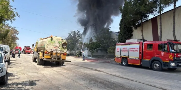 Isparta’da aranan 3 şahıs yakalanarak cezaevine gönderildi