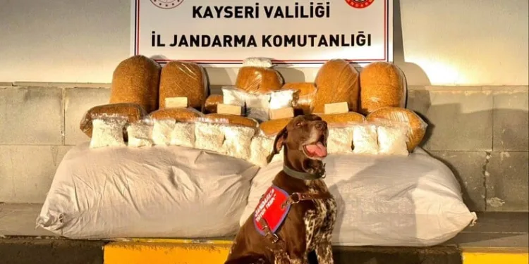 FETÖ üyesi şahıs jandarmadan kaçamadı