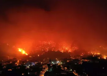 Bursa’daki yangınlara ilişkin soruşturma başlatıldı