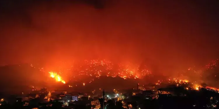 Bursa’daki yangınlara ilişkin soruşturma başlatıldı