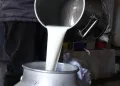 Çiğ süt fiyatları belli oldu