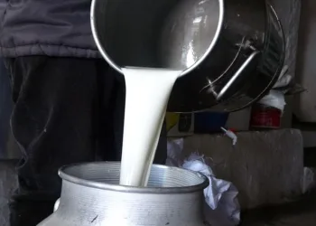 Çiğ süt fiyatları belli oldu