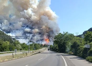 Karabük’te orman yangını çıktı