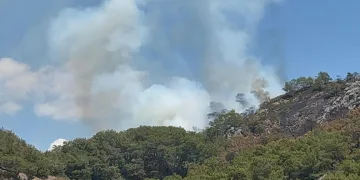 Gazipaşa’da ormanlık alanda yangın