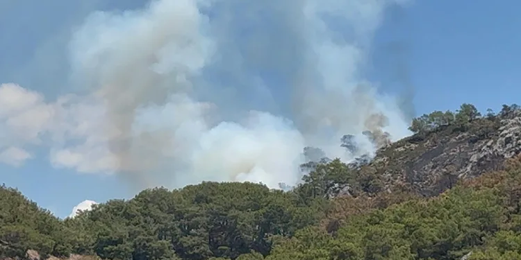 Gazipaşa’da ormanlık alanda yangın