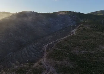 Kocaeli’deki orman yangını söndürüldü