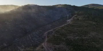 Kocaeli’deki orman yangını söndürüldü
