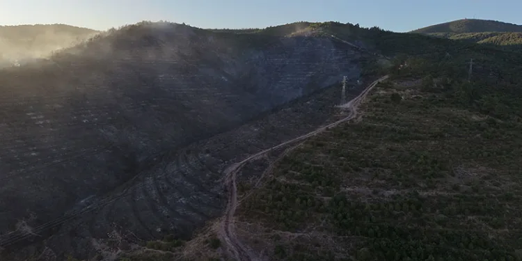 Kocaeli’deki orman yangını söndürüldü
