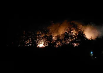 Sakarya’daki yangınla ilgili tutuklama