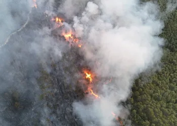 Karabük’te orman yangını: 95 ev tahliye edildi