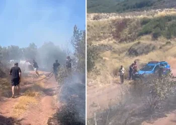 Bursa’da korkutan orman yangını