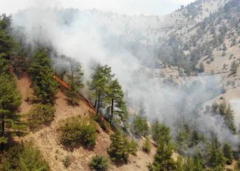 Kahramanmaraş’ta orman yangını 3’üncü gününde
