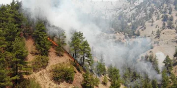 Kahramanmaraş’ta orman yangını 3’üncü gününde