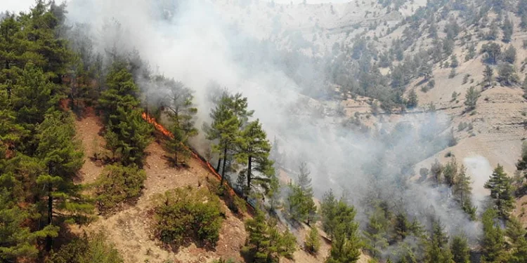 Kahramanmaraş’ta orman yangını 3’üncü gününde