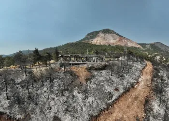Gürsu yangınından yürek burkan bu manzaralar kaldı