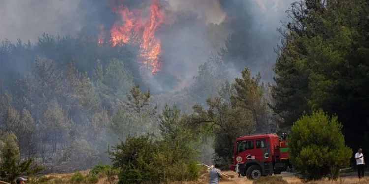Bornova’da orman yangını
