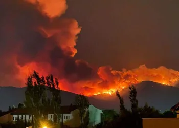 İzmir’de orman yangını: Üç mahalle tahliye edildi