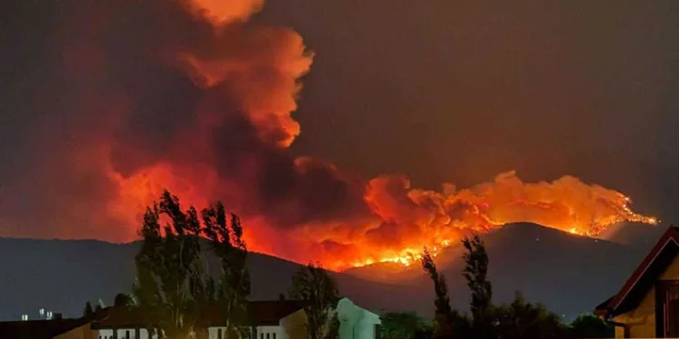 İzmir’de orman yangını: Üç mahalle tahliye edildi