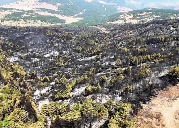 Karabük’te yürek burkan manzara
