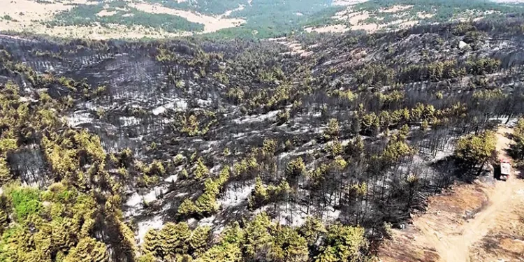 Karabük’te yürek burkan manzara