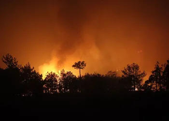 Orman yangınlarından etkilenen Bursa dahil üç ile destek