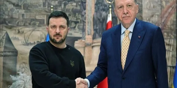 Cumhurbaşkanı Erdoğan, Zelenski ile görüştü