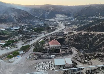 Çanakkale yangınını akli dengesi bozuk 2 kişi çıkarmış