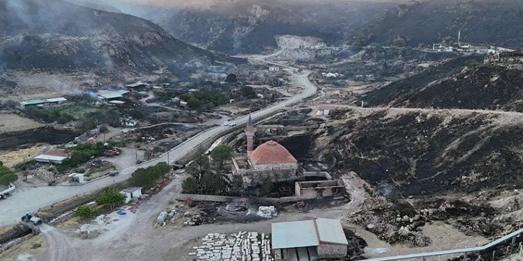 Çanakkale yangınını akli dengesi bozuk 2 kişi çıkarmış