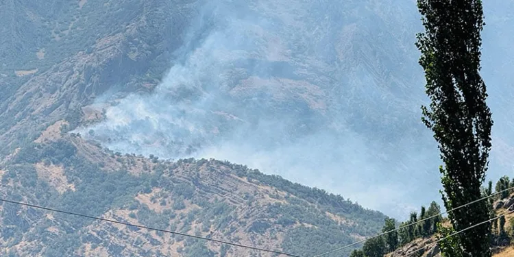 Şırnak’ta orman yangını: Alevler kontrol altına alınamıyor