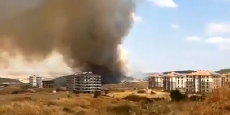 Keşan’da ağaçlık alanda çıkan yangın rüzgarla büyüyor