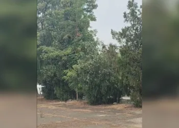 Bursa’da Sıcaklara Yağmur Molası