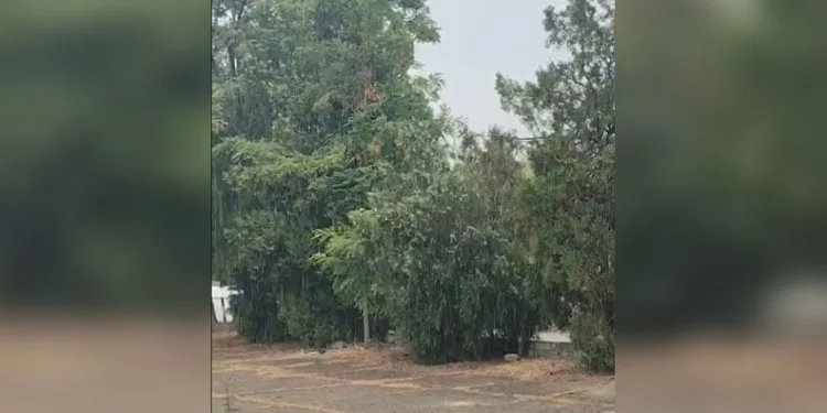 Bursa’da Sıcaklara Yağmur Molası