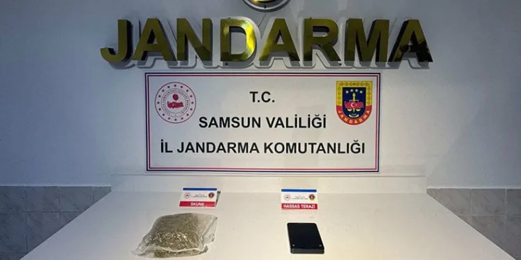 Jandarmadan 2 ayrı uyuşturucu operasyonu: 2 gözaltı