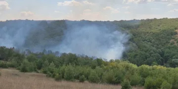 Tekirdağ’da orman yangını