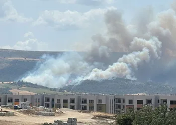 Çanakkale’de orman yangını