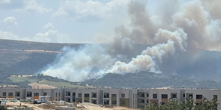 Çanakkale’de orman yangını