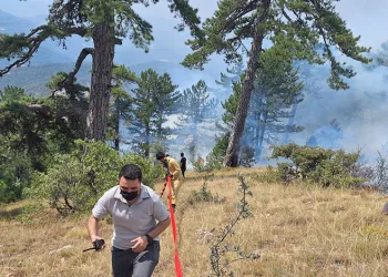 Bolu’daki orman yangını kontrol altında