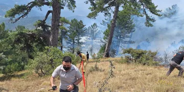 Bolu’daki orman yangını kontrol altında