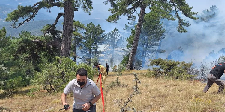 Bolu’daki orman yangını kontrol altında