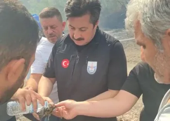 Ercan Özel yangından etkilenen kaplumbağaya suyla müdahale etti