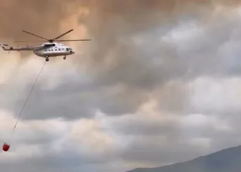 Valilikten Yenişehir’deki orman yangınına ilişkin açıklama