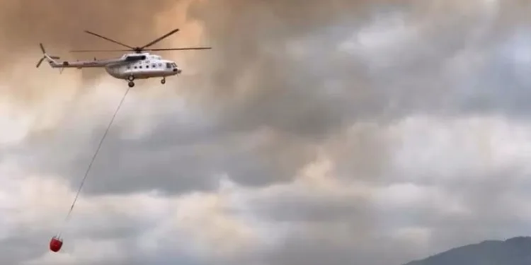 Valilikten Yenişehir’deki orman yangınına ilişkin açıklama