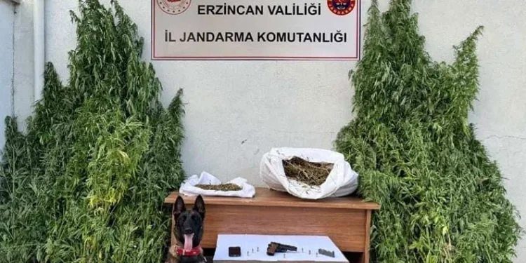 Adıyaman’da alacak verecek kavgası: 3 yaralı
