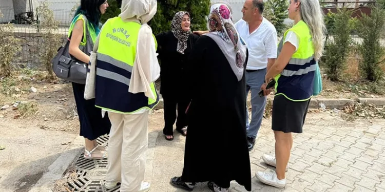 Bursa’daki yangında 300 kovan arı telef oldu