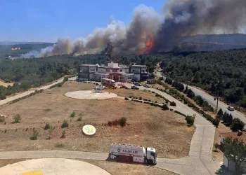 Çanakkale’de yine orman yangını! Tahliyeler başladı