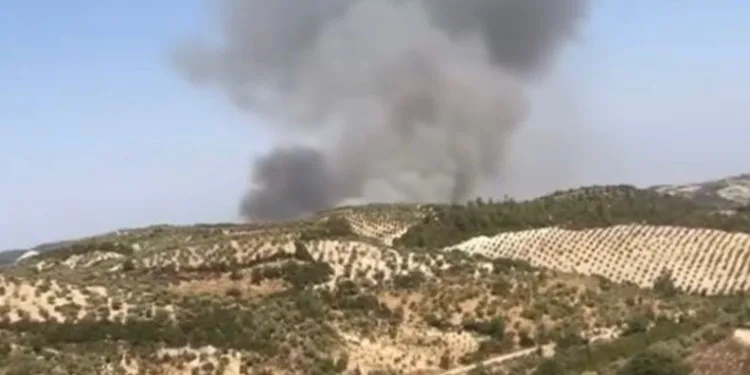 Hatay’da orman yangını