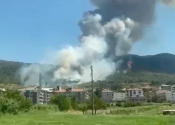 Manisa’da orman yangını: Bir mahalle boşaltıldı, bir kişi gözaltında